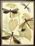 Graphic Dragonflies In Nature Ii by Megan Meagher Limited Edition Pricing Art Print
