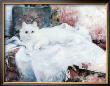 Soft As A Cat by Lise Auger Limited Edition Print