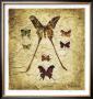 Papillons I V by Claudette Beauvais Limited Edition Pricing Art Print