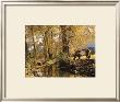 Fall Colors by Robert Dawson Limited Edition Print