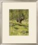 Black Bear by Oliver Kemp Limited Edition Print