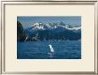 Alaska Passage Humpback Fin by Charles Glover Limited Edition Print