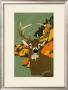 Whitetail by Michael Lavasseur Limited Edition Print