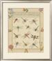 Dragonfly Manuscript I by Jaggu Prasad Limited Edition Print