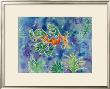 Leafy Seadragon by Mary Stubberfield Limited Edition Print