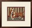 Basset Hound by Lanny Barnard Limited Edition Print