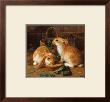 Bunnies' Meal I by Alfred Barber Limited Edition Pricing Art Print