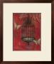 Asian Bird Cage I by Norman Wyatt Jr. Limited Edition Print
