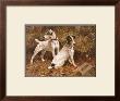 Arthur Wardle Pricing Limited Edition Prints