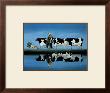 Delta Cows by Lowell Herrero Limited Edition Pricing Art Print