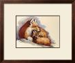 Vixen And Pup by Clancy Cherry Limited Edition Pricing Art Print