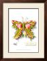 Pilosus Hortus Ortus by Michel Tcherevkoff Limited Edition Print