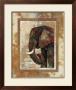 Elephant by Phyllis Knight Limited Edition Print