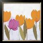 Tulipanes Naranjas Ii by Celeste Limited Edition Pricing Art Print