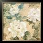 White Flowers Ii by Jil Wilcox Limited Edition Print