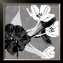 Monochrome Tulip Coll. by Kate Knight Limited Edition Print