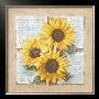 Sunflower Poetry by Laura Martinelli Limited Edition Print