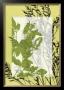 Translucent Wildflowers Iii by Jennifer Goldberger Limited Edition Print