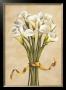 Bouquet Bianco by Lisa Corradini Limited Edition Print