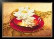 Glossy Bowl by Gerard Beauvoir Limited Edition Pricing Art Print