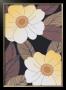 Golden Blooms I by Verbeek & Van Den Broek Limited Edition Pricing Art Print