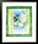 Amaryllis by Franz Heigl Limited Edition Pricing Art Print