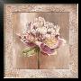 Pivoines I by Selina Werbelow Limited Edition Print