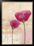 Verzauberter Mohn I by Milena More Limited Edition Print