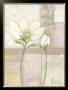 Weibe Schonheit I by Milena More Limited Edition Print