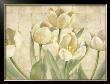 White Tulips On Ivory by Lauren Mckee Limited Edition Pricing Art Print