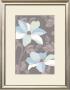 Accents Of Spring Ii by Verbeek & Van Den Broek Limited Edition Print