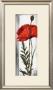 Queen Of Poppy by Nina Konig Limited Edition Print