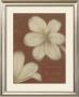 Tan Flowers by Cristina Valades Limited Edition Print