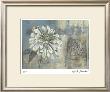 Inspired Blossom I by Ruth Franks Limited Edition Pricing Art Print