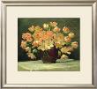 Tulips In A Vase On A Draped Table by Peter Johan Schou Limited Edition Pricing Art Print