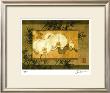 Bamboo & Orchids Ii by Ives Mccoll Limited Edition Print