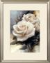 Virgin Rose by Igor Levashov Limited Edition Pricing Art Print