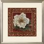 Peony In Red And Gold by T. C. Chiu Limited Edition Print