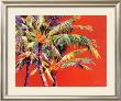 Fire Palm by Jean Bradley Limited Edition Pricing Art Print