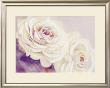 White Roses by David Col Limited Edition Pricing Art Print