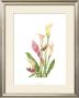 Tropical Bouquet Ii by Pamela Shirley Limited Edition Print