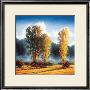 Autumn Morning Ii by J.M. Steele Limited Edition Print