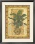 Bronze Palm by Merri Pattinian Limited Edition Pricing Art Print