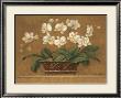 Orchid Tapestry by Pamela Gladding Limited Edition Print