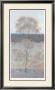 Solitary Tree Iv by Kim Coulter Limited Edition Print