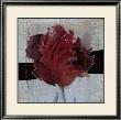 Estella Tulip Ii by Heleen Vriesendorp Limited Edition Print