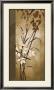 Golden Heights Ii by Edward Aparicio Limited Edition Print