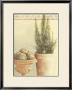 Plants In Pots by Cuca Garcia Limited Edition Print