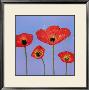 Sky Poppies Ii by Dominic Pangborn Limited Edition Pricing Art Print