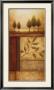 Fragments Of Nature Ii by Michael Marcon Limited Edition Print